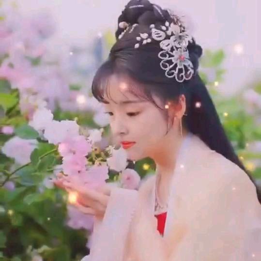 豫K小姐姐—（89🐍）