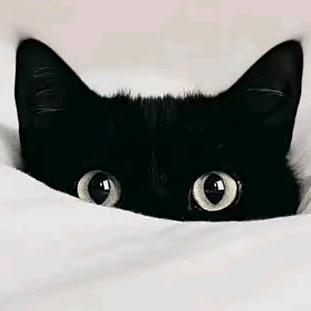 红