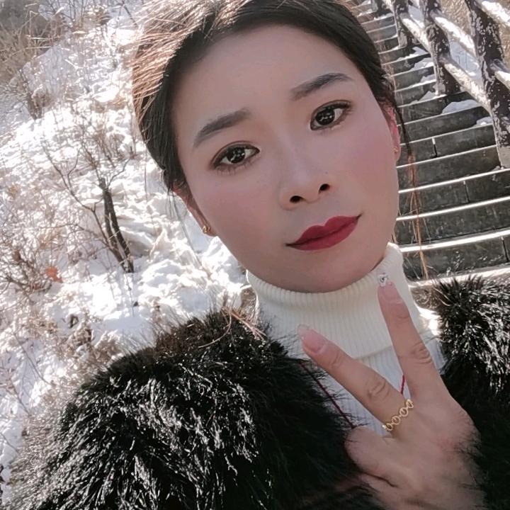 美美凤