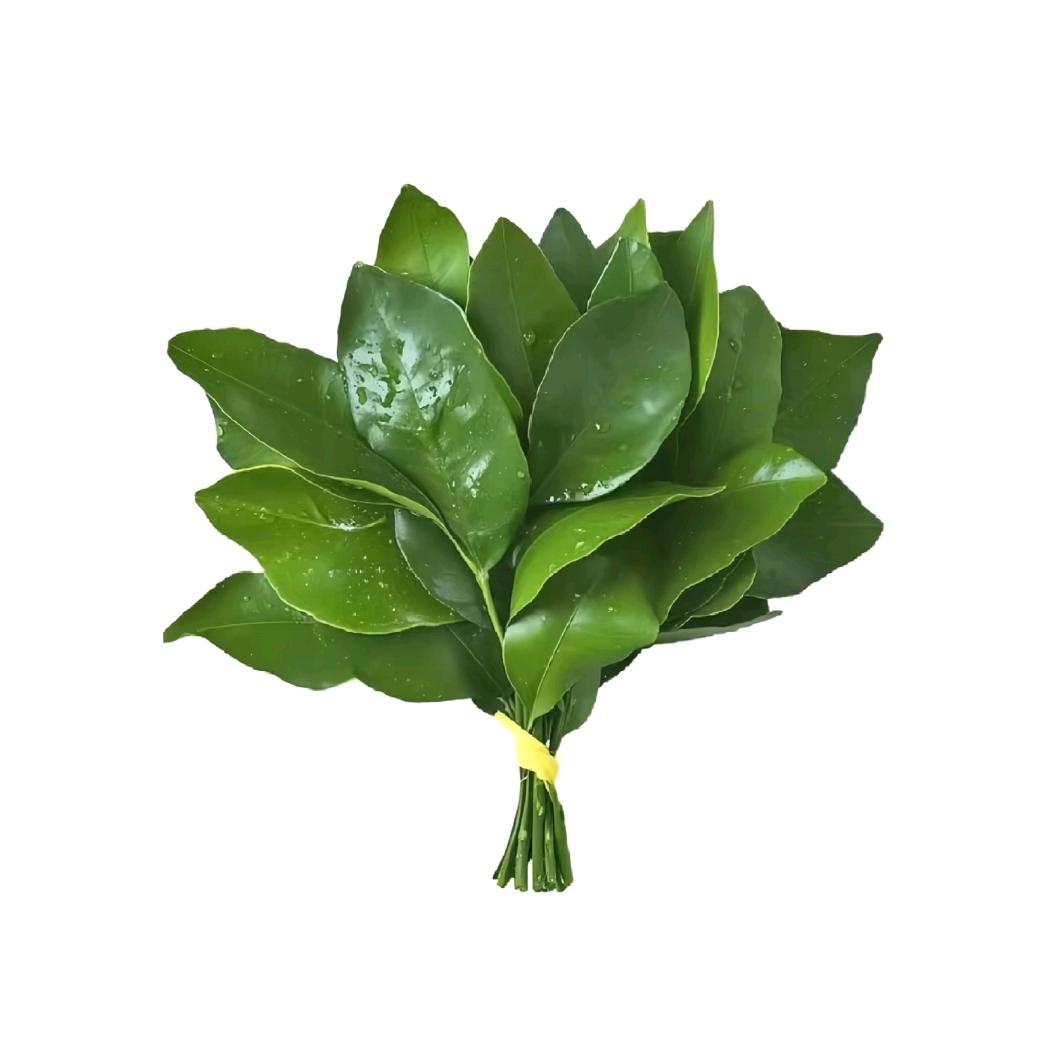 林中柔.