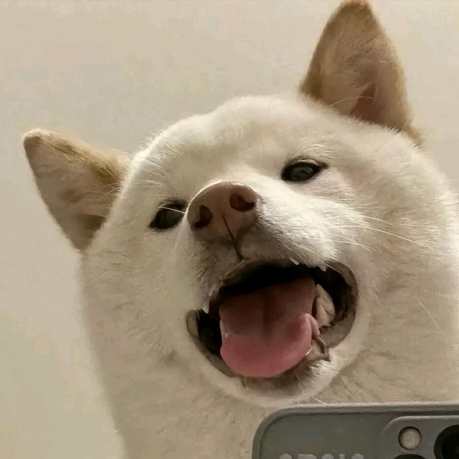 Past.（三角洲）