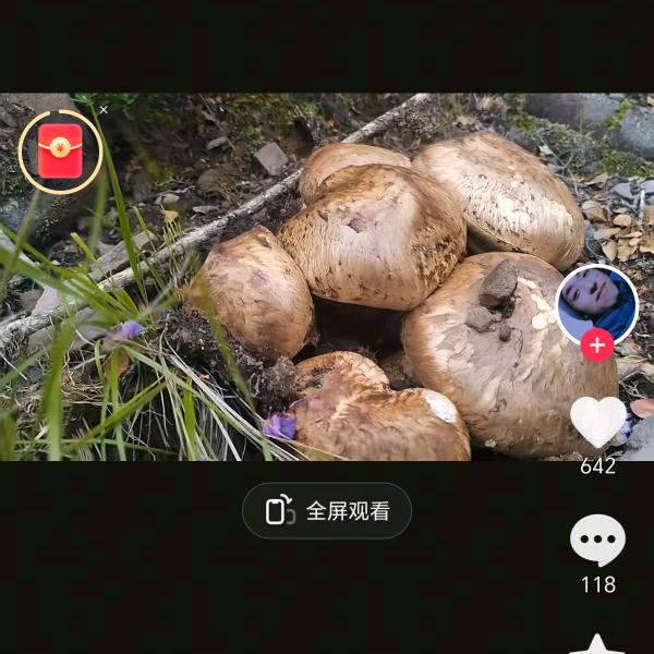 用戶哥。
