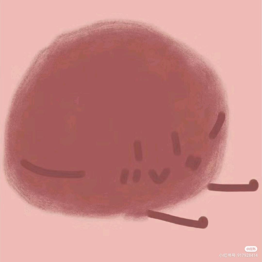 是梓涵不是子涵