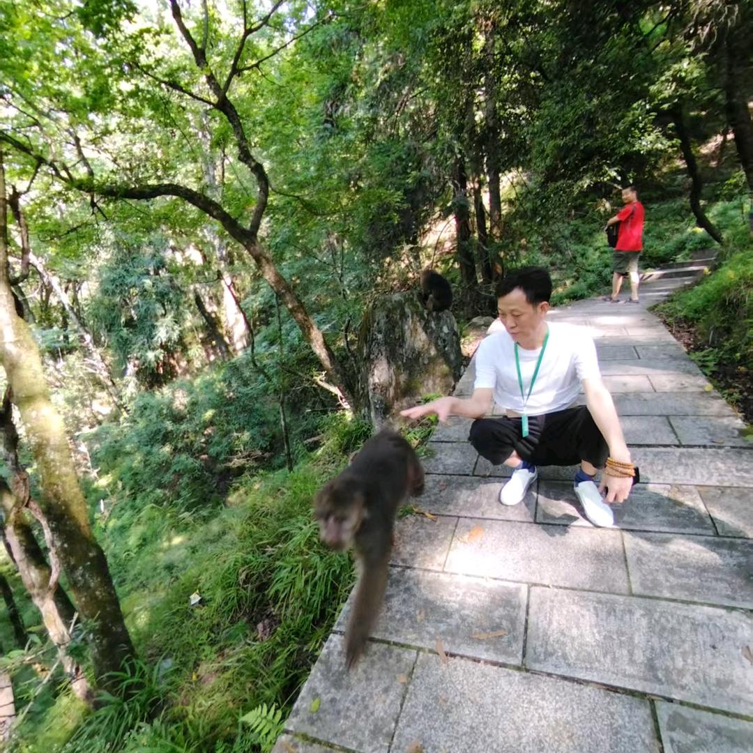 飞龙再天