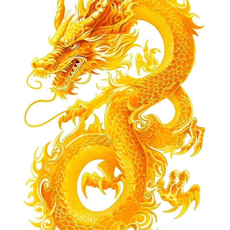 龍    🐉   华