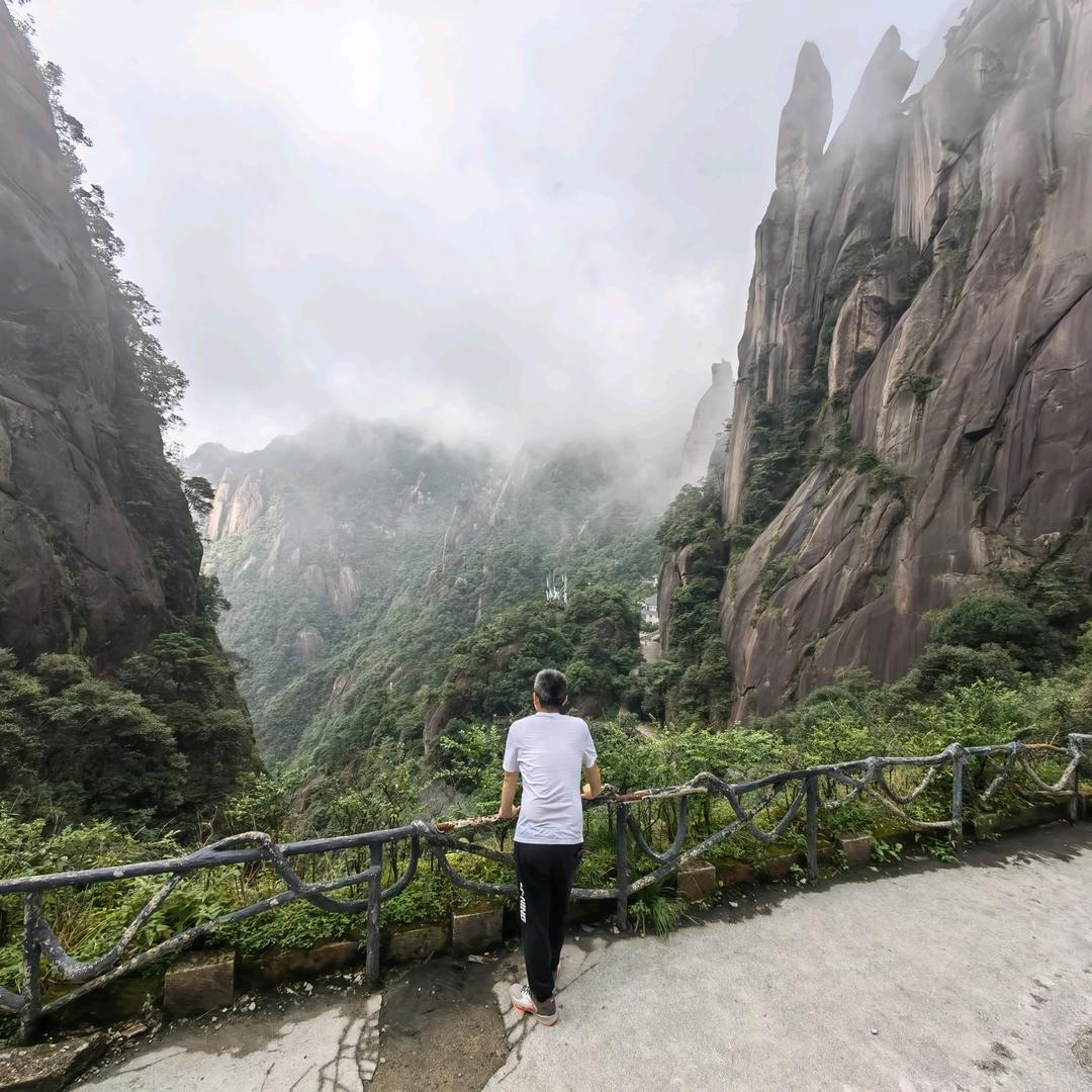 杨先生（淄博炒家）