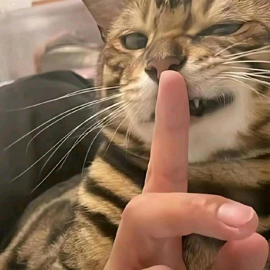 晚安.