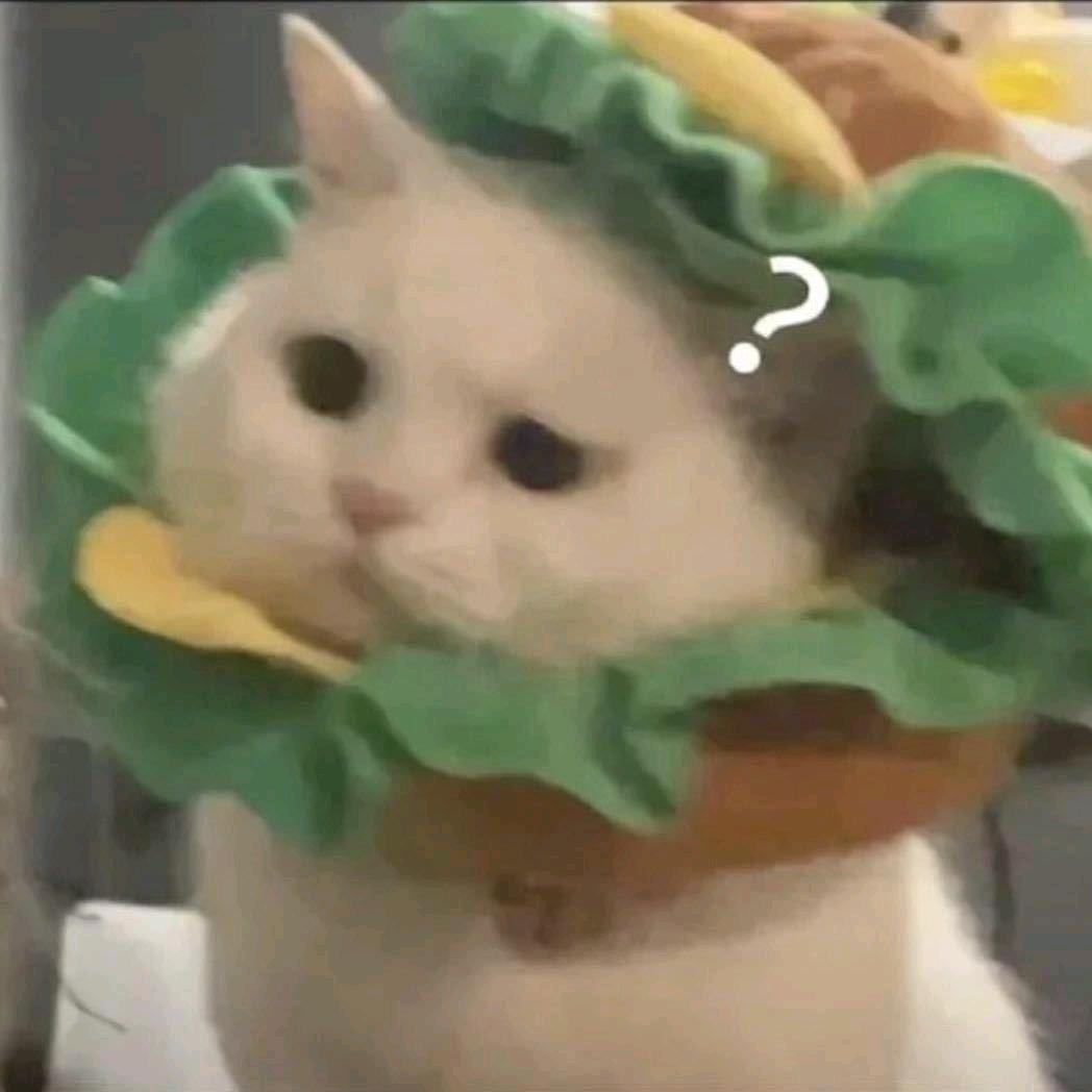 58404778493