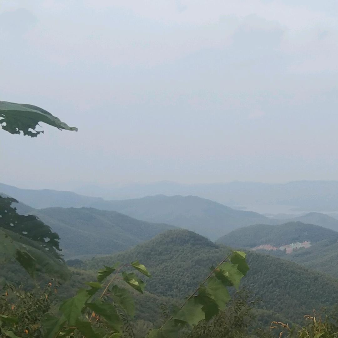 🕊局外人༄: ღ᭄ꦿ