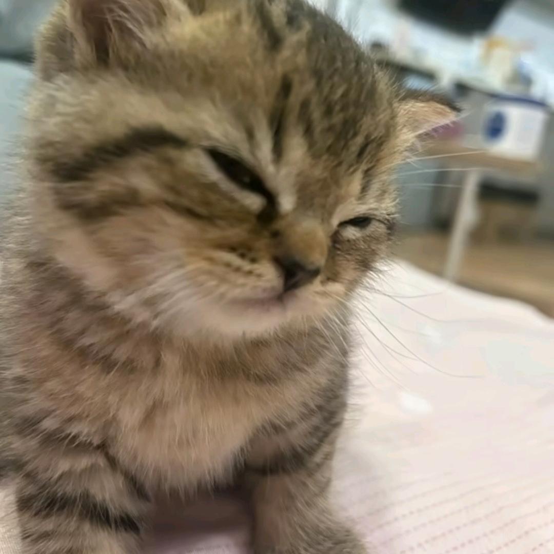压力