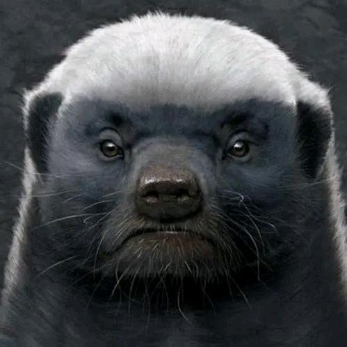 癞癞猴