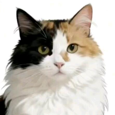 富贵财宝嘉嘉加。