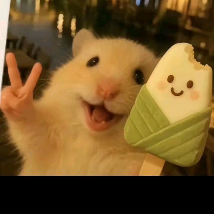 成都搬运工