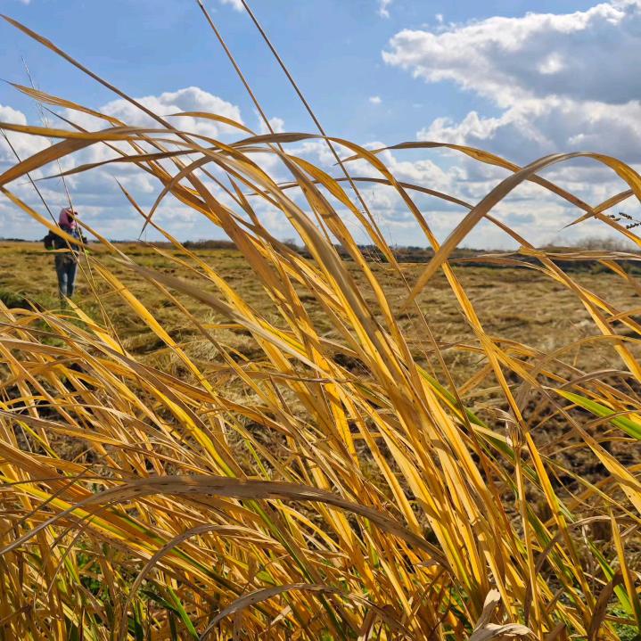 五常老王家大米店