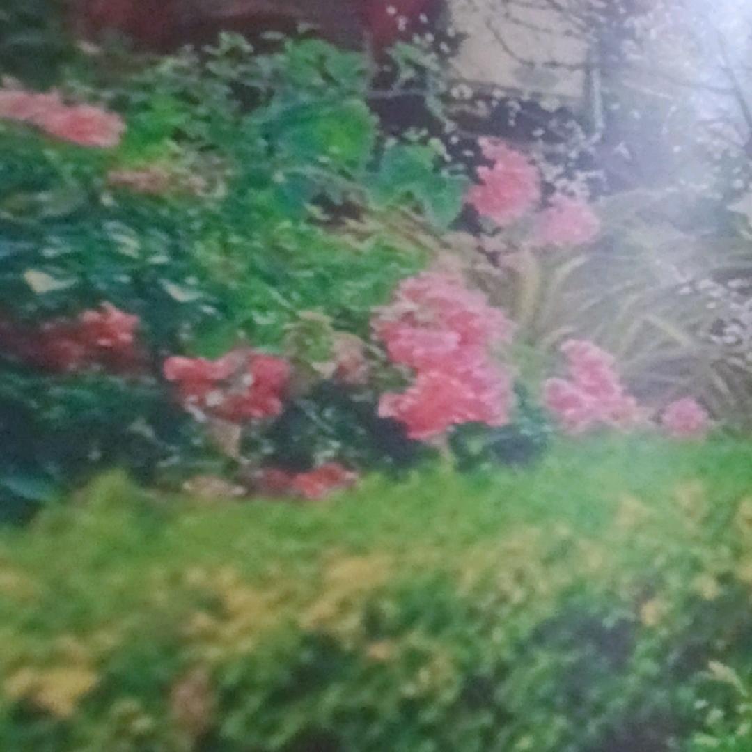 琳琳🎤🎤