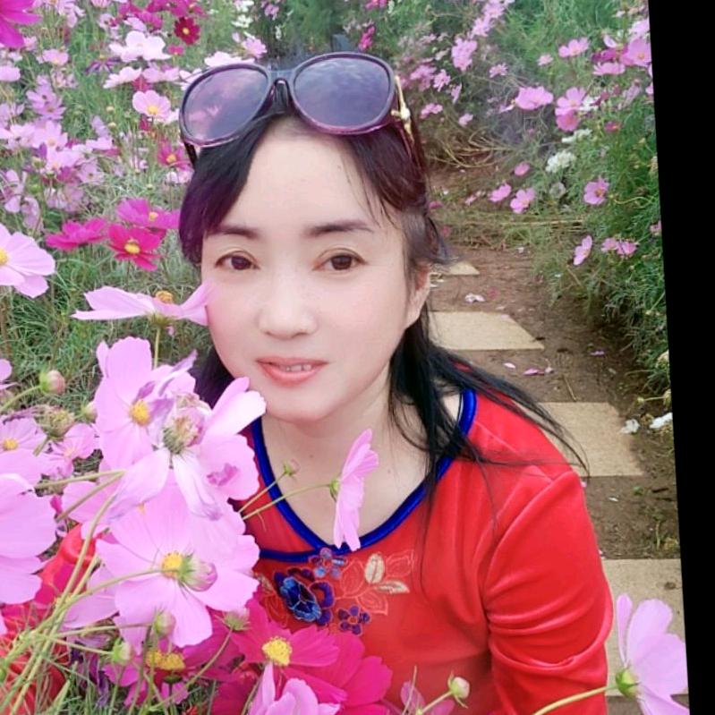 蓝天（暂离抖音）