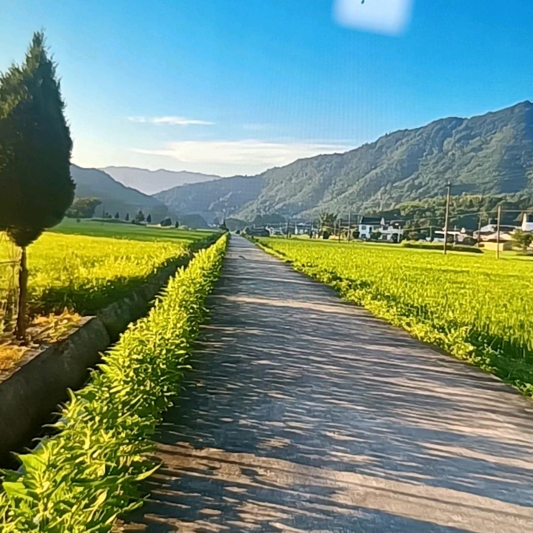 波波小卖部