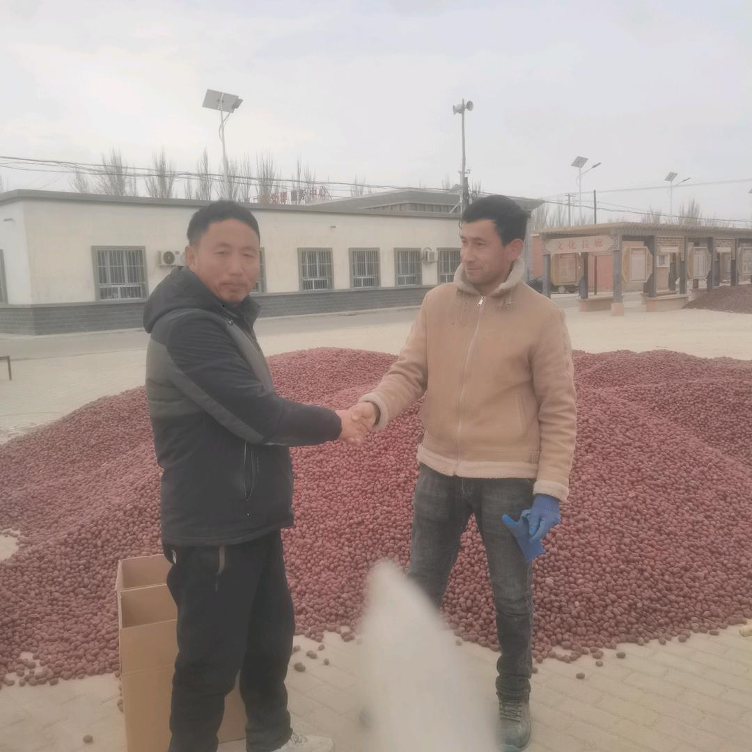 灰枣哥（东营新疆干果总代办）