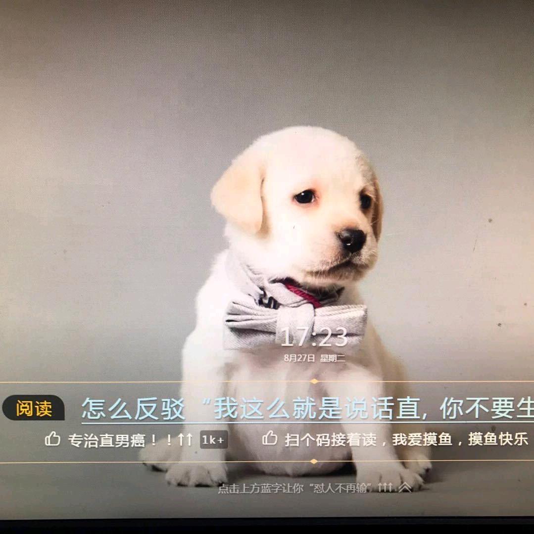 刘霸道～