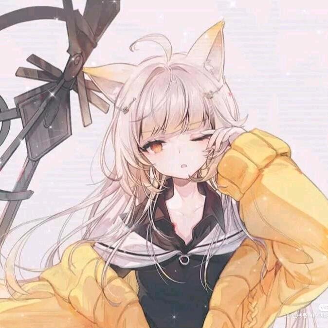 一只小五（戒谷版）