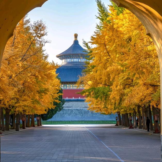 Xiaogao