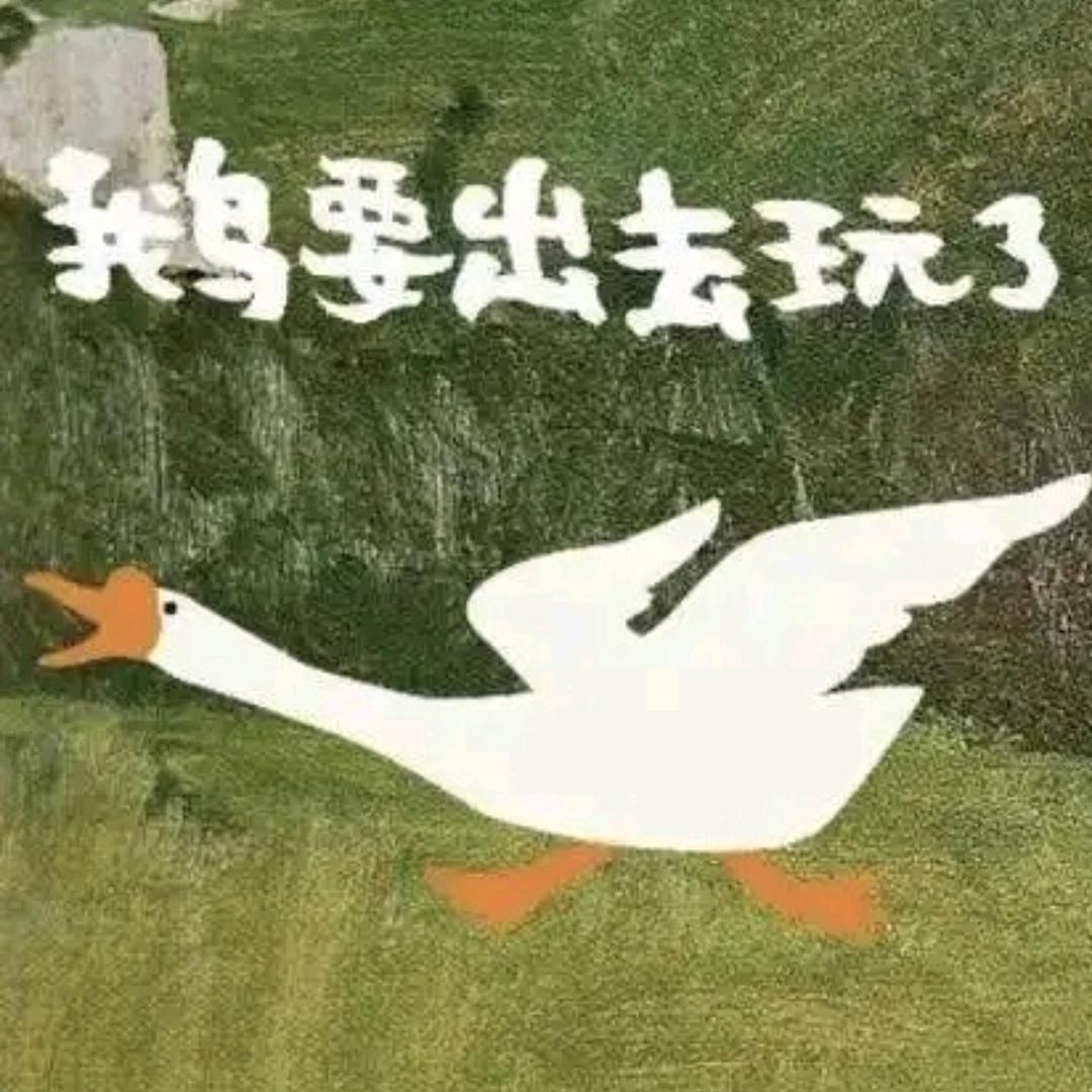 正儿八经云旅游