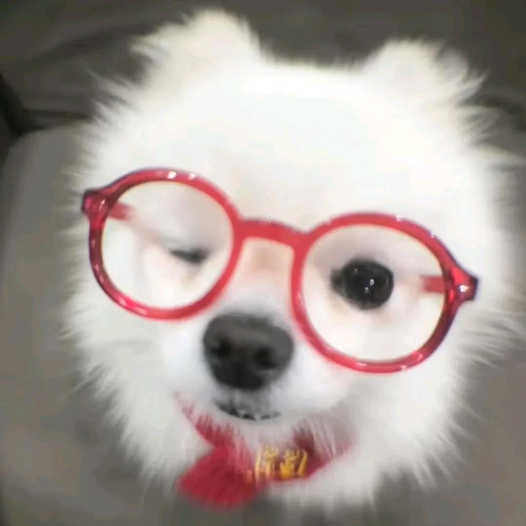 ੯‧̀͡⬮饱饱.