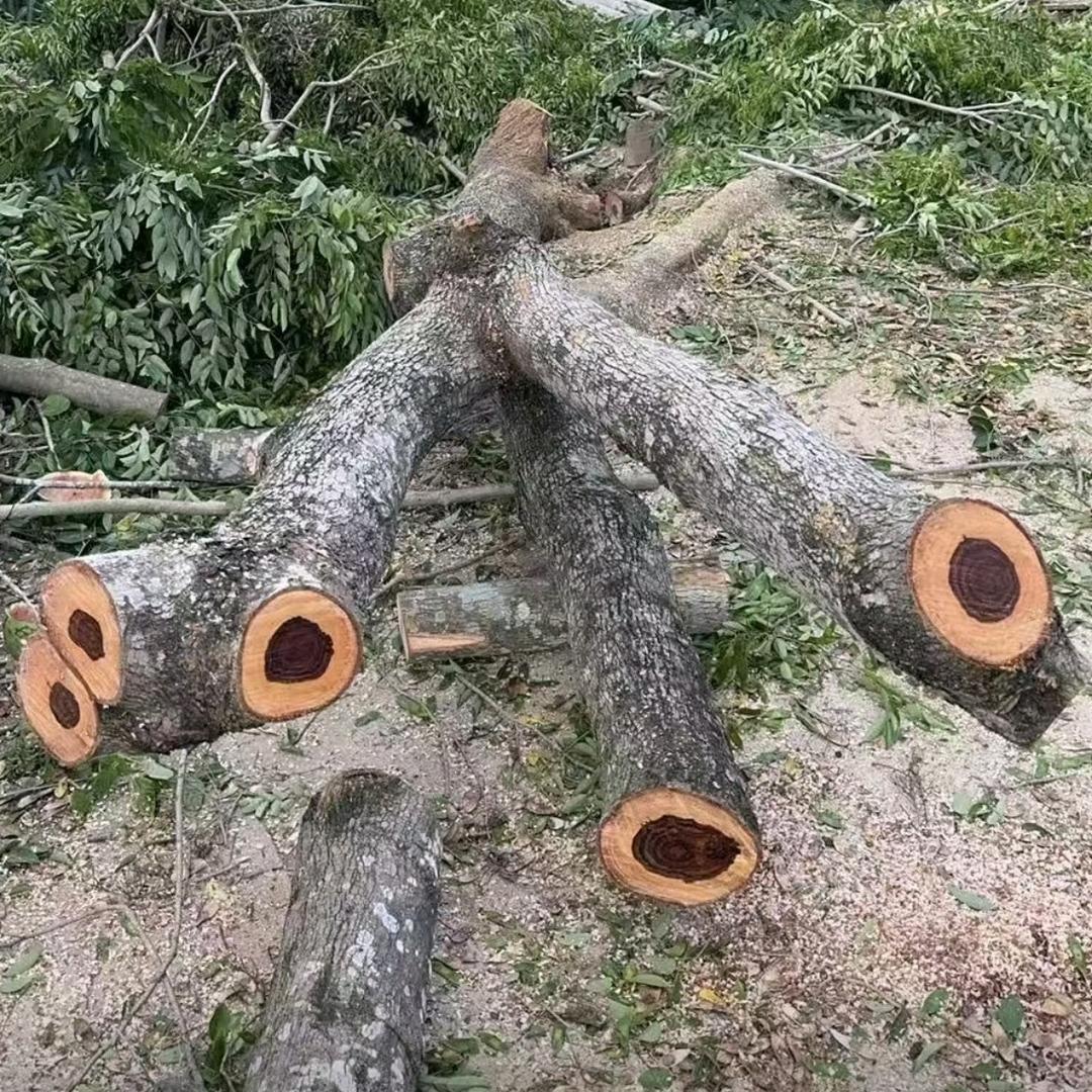 红火海南黄花梨