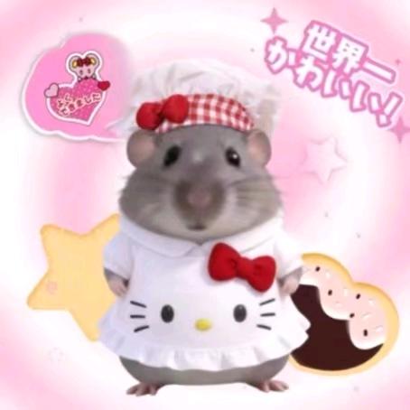 斌杰头像