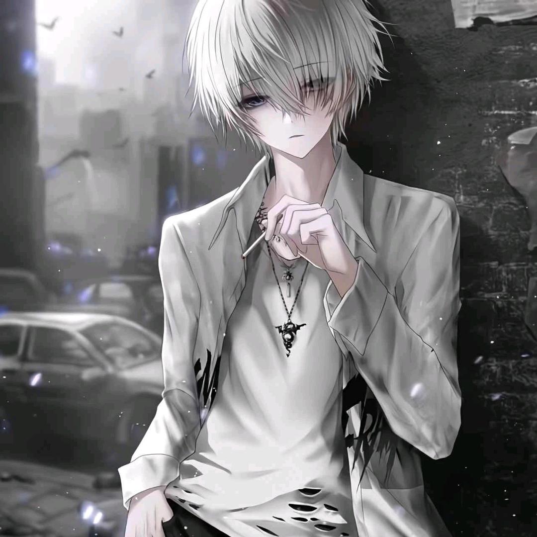 小阳ovo