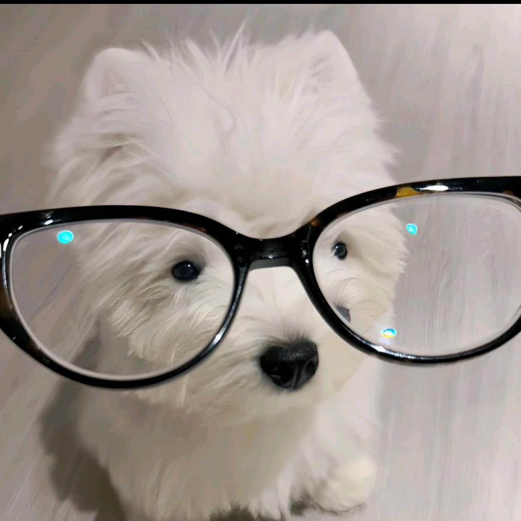 平野百货店把电又直播号