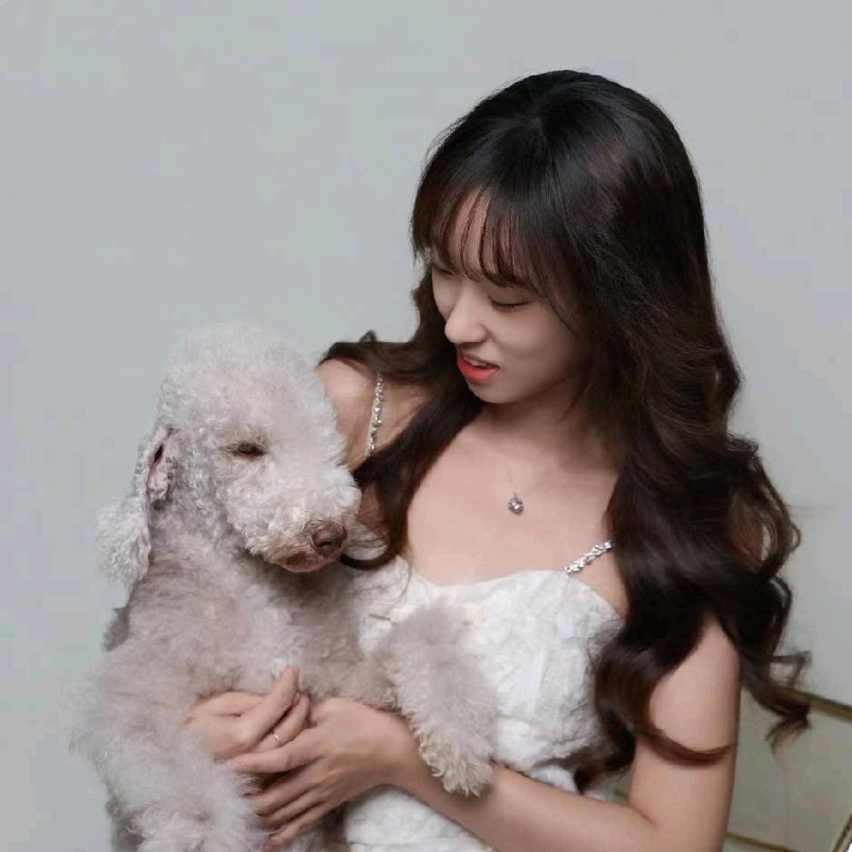 宠光年宠物美容培训学校（沈阳校区）