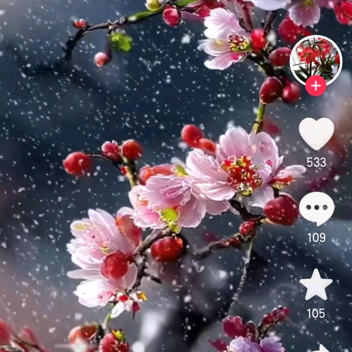 河东禹人