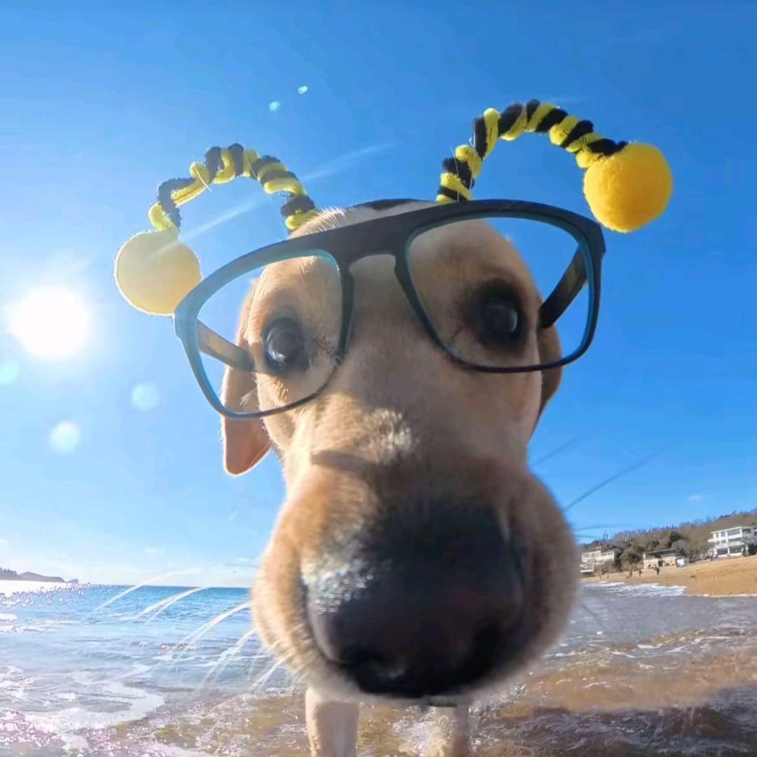 心动（请勿连赞）