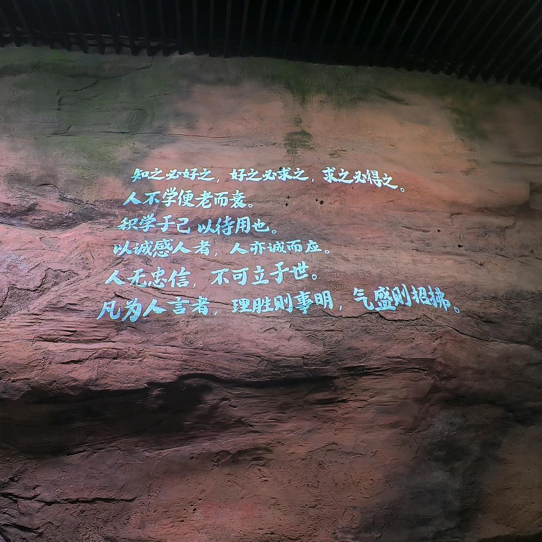达不刘😊