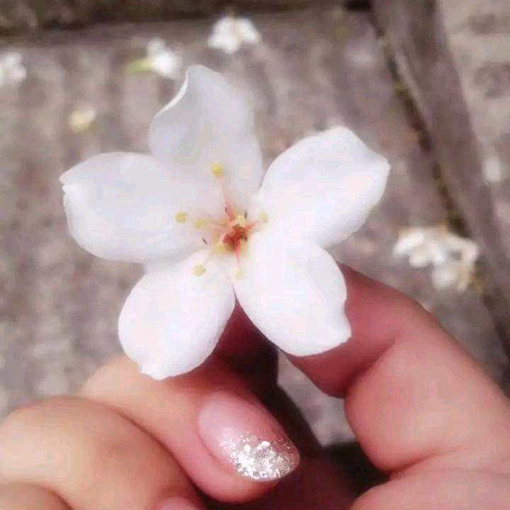 🍬