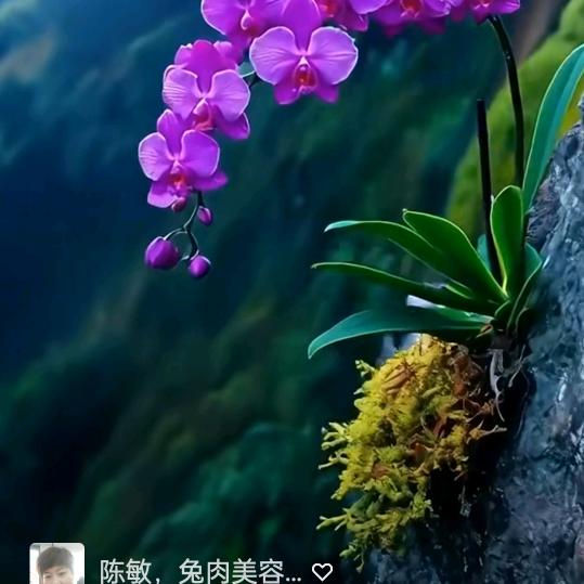 平安是福