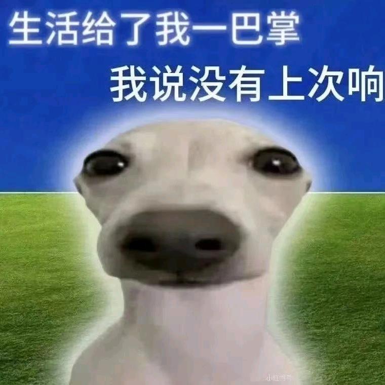 尤桃桃