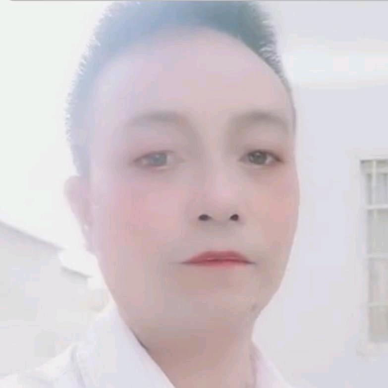有情深似海
