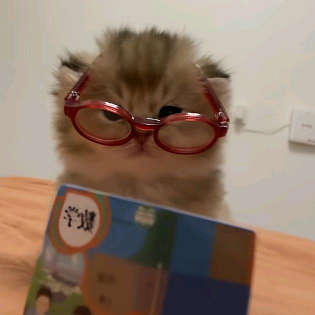 这个小伙有点六