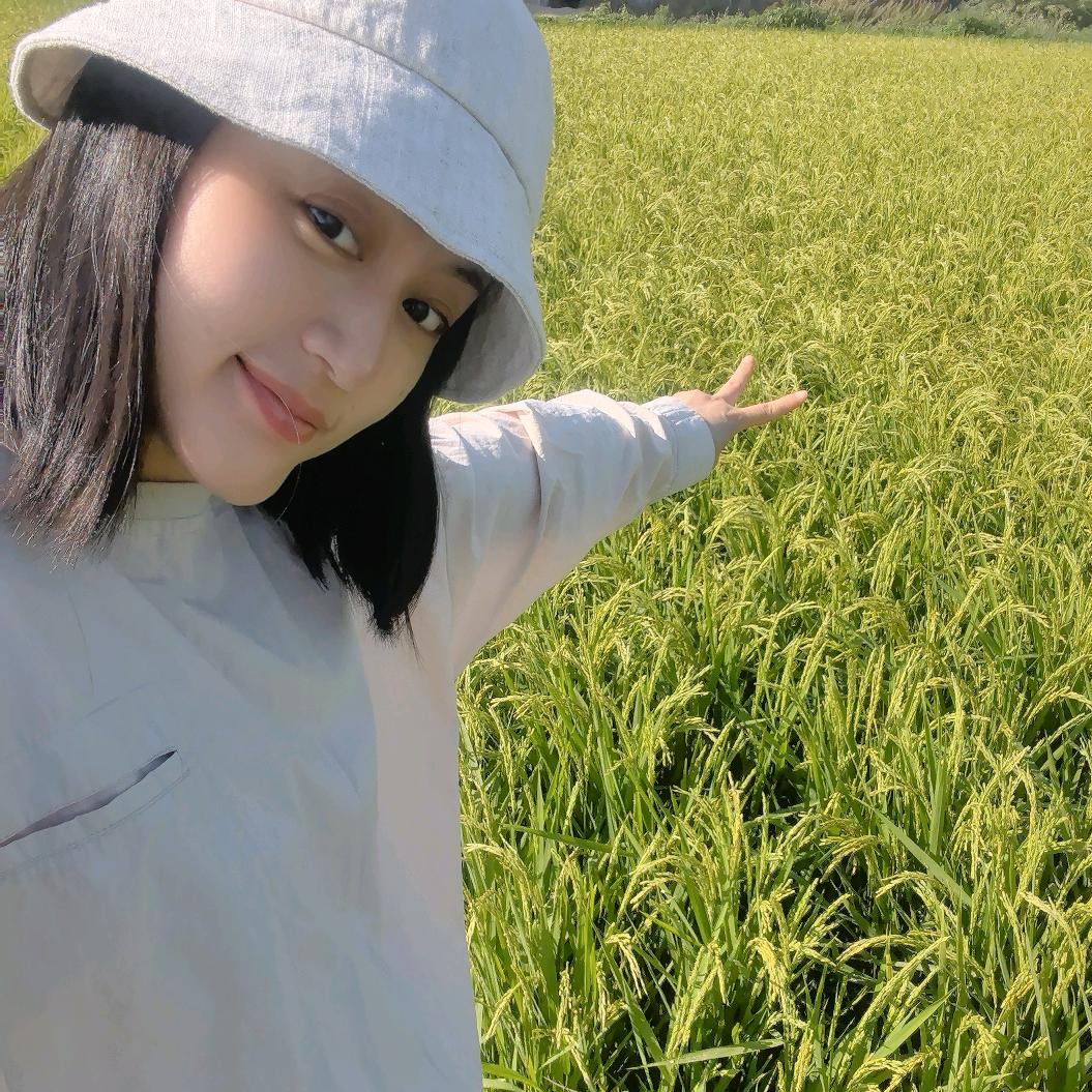 洋姐