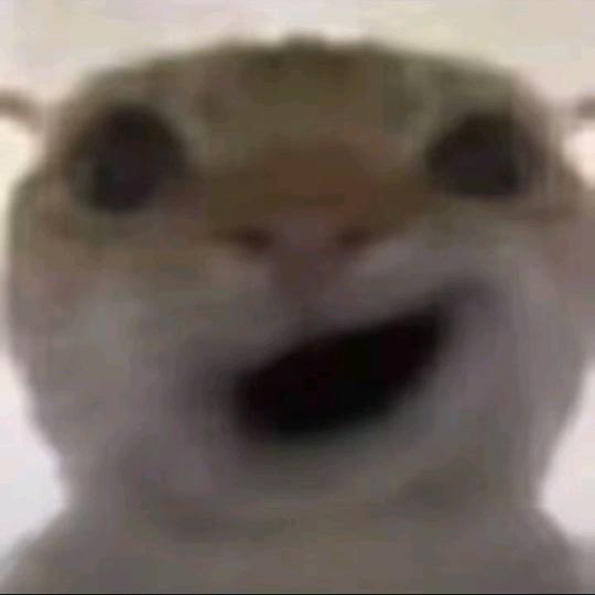 寡寡(三角洲行动)