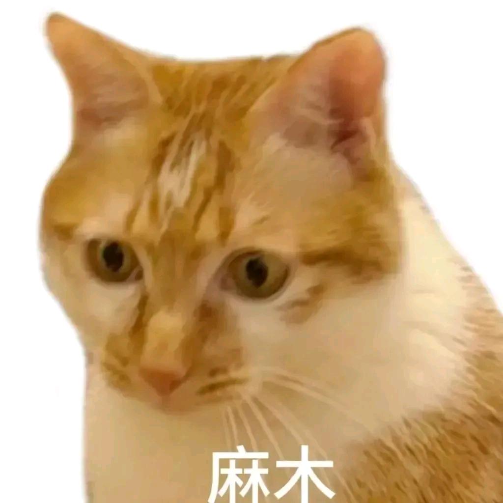 一锅