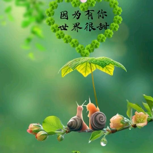 楚雄装修找品尚796元每平全包精装含柜子