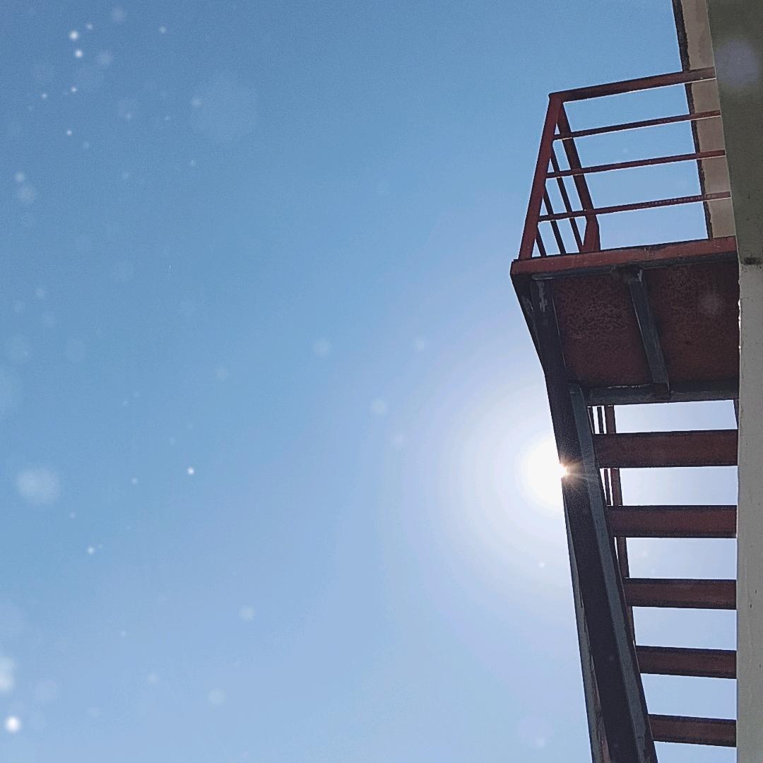 网络