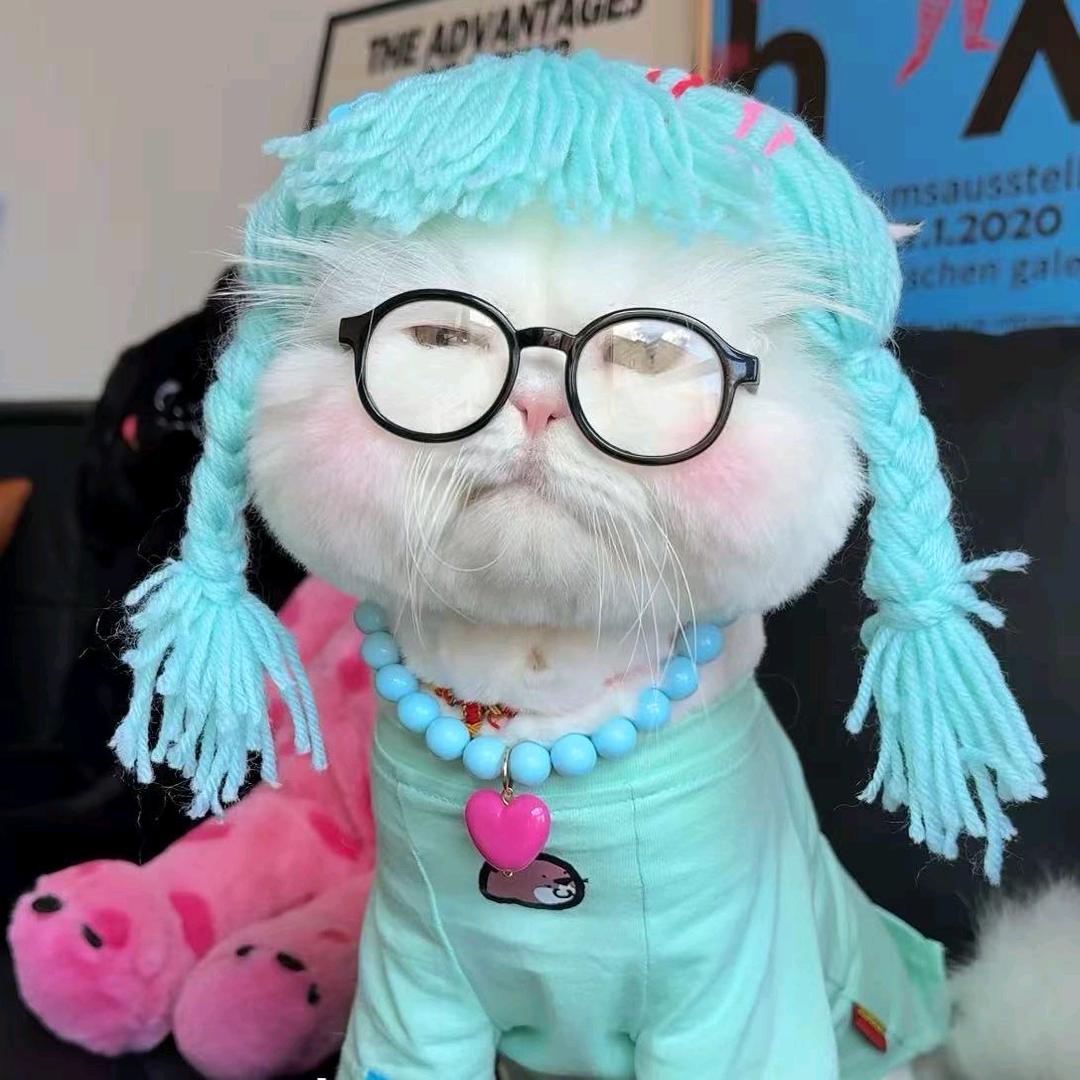 猪刚烈