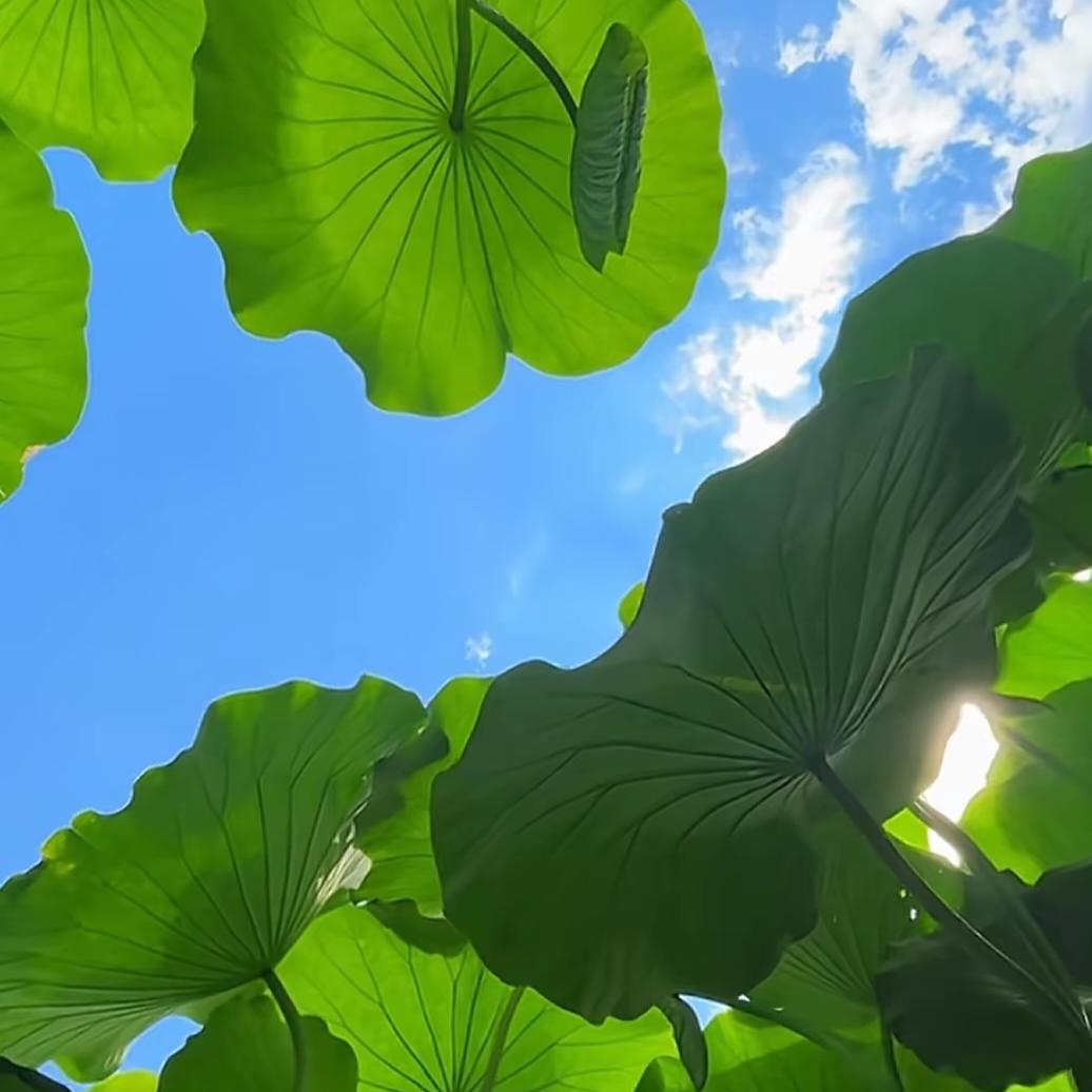 人间一趟98306916