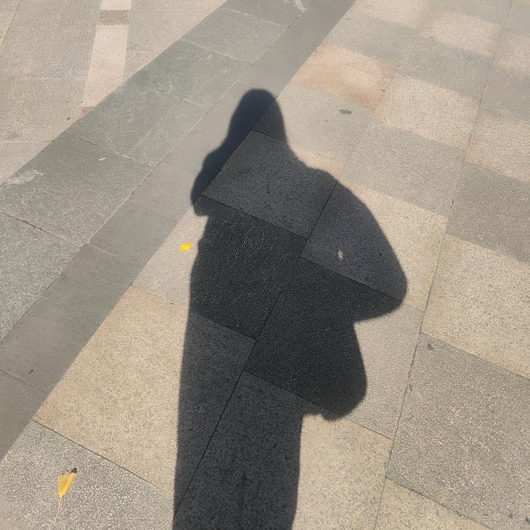 人间李想