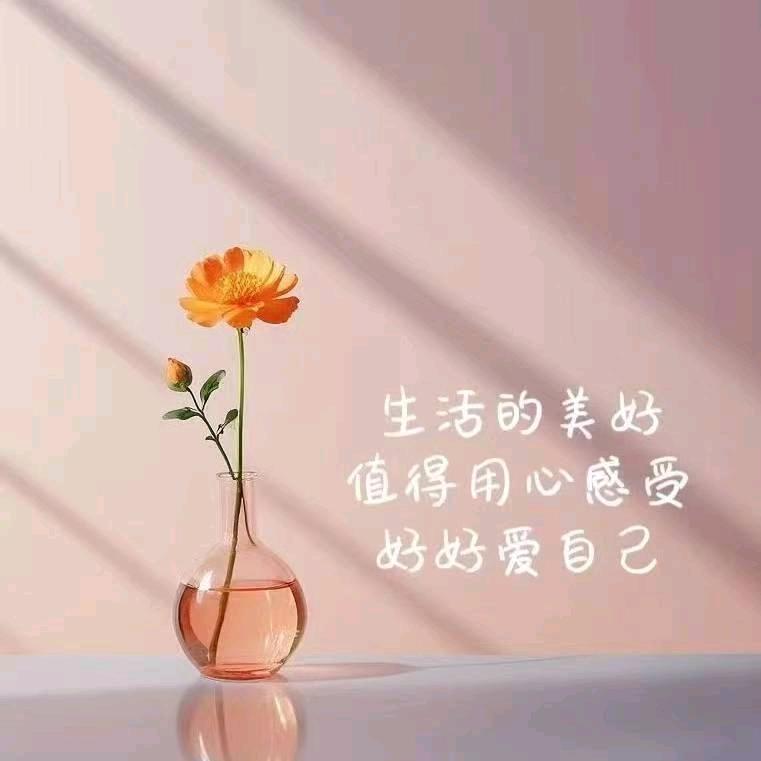 葛谱