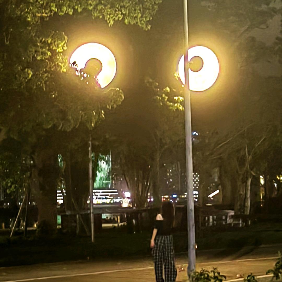 魔仙堡在逃大小姐🧚‍♀️